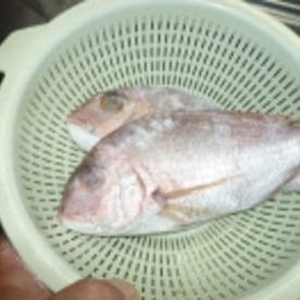 カボスde花鯛の焼き魚 レシピ 作り方 By Tententen48 楽天レシピ カボスde花鯛の焼き魚 レシピ 作り方 By Tententen48 楽天レシピ